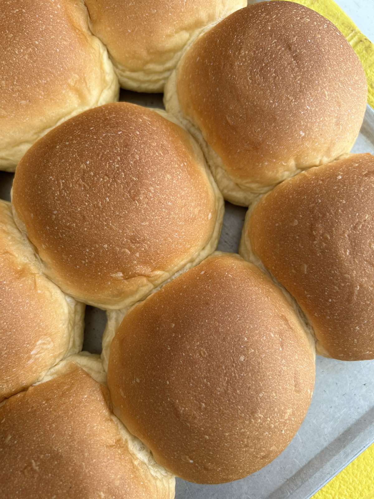 Brioche Slider Buns