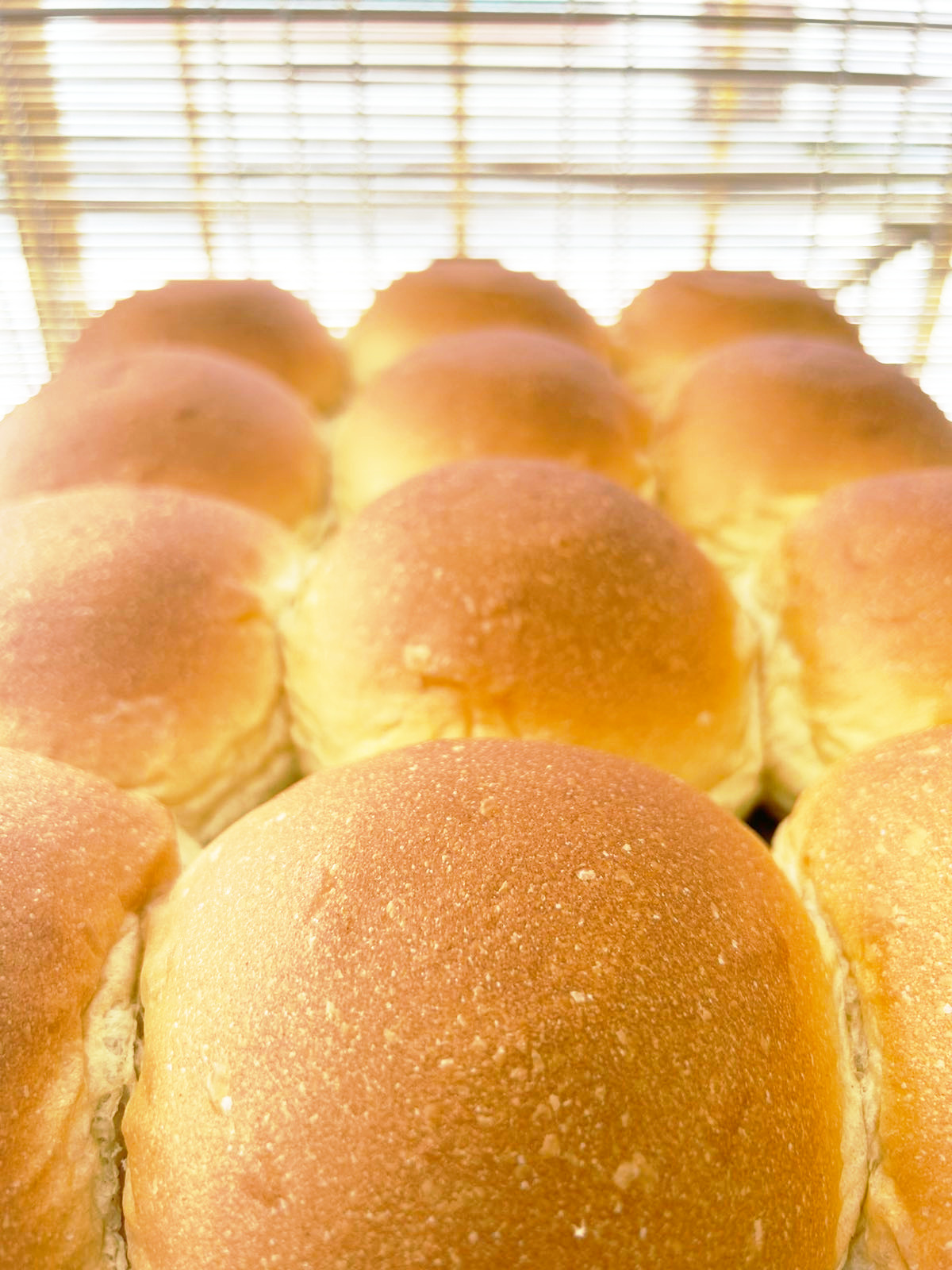 Brioche XL Buns