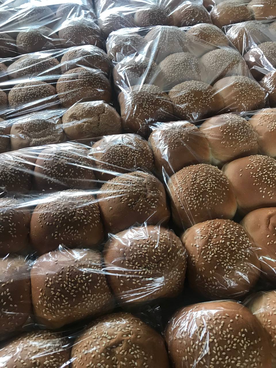Regular Burger Buns